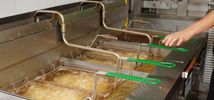 Westinghouse Commercial Fryer Repair in Woodstock