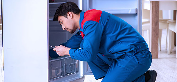 Westinghouse Freezer Repair Services in Woodstock